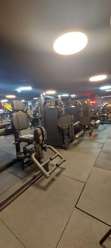 عکس باشگاه ورزشی باربد