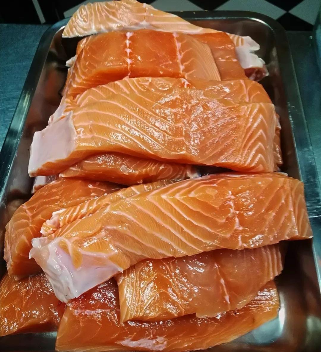 عکس پرورش ماهی مقدم