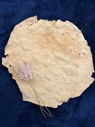 عکس نانوایی تافتون