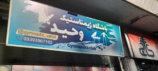 باشگاه ژیمناستیک وحید