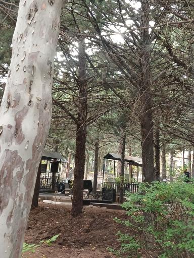 عکس بهشت رضوان