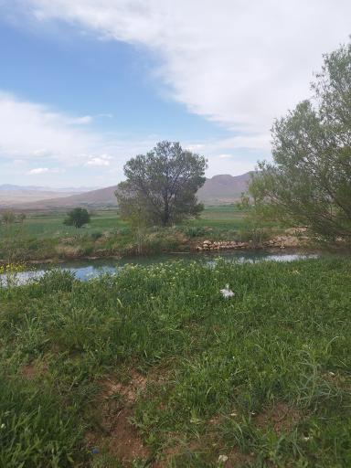 عکس فریدون شهر