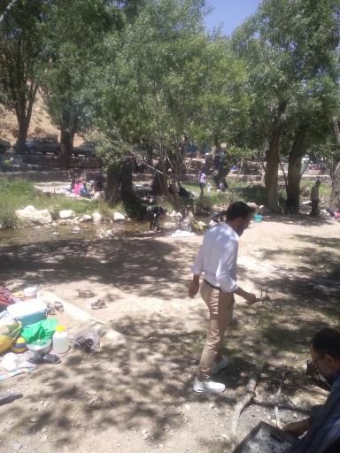 عکس زر چشمه هونجان