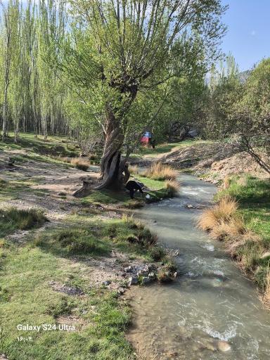 عکس زر چشمه هونجان