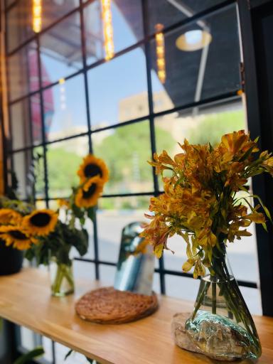 عکس کافه پیتز