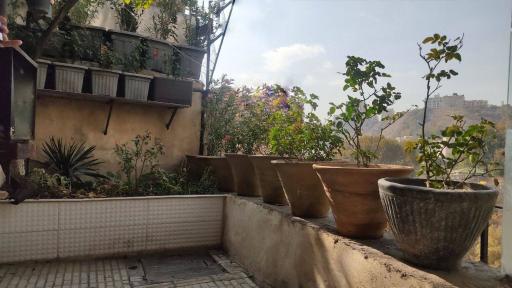 عکس اجاره سوئیت کریمی 