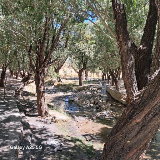 عکس زر چشمه هونجان
