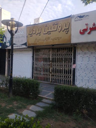 عکس پروتئین بردیا
