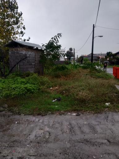 عکس نانوایی بربری باقری نژاد