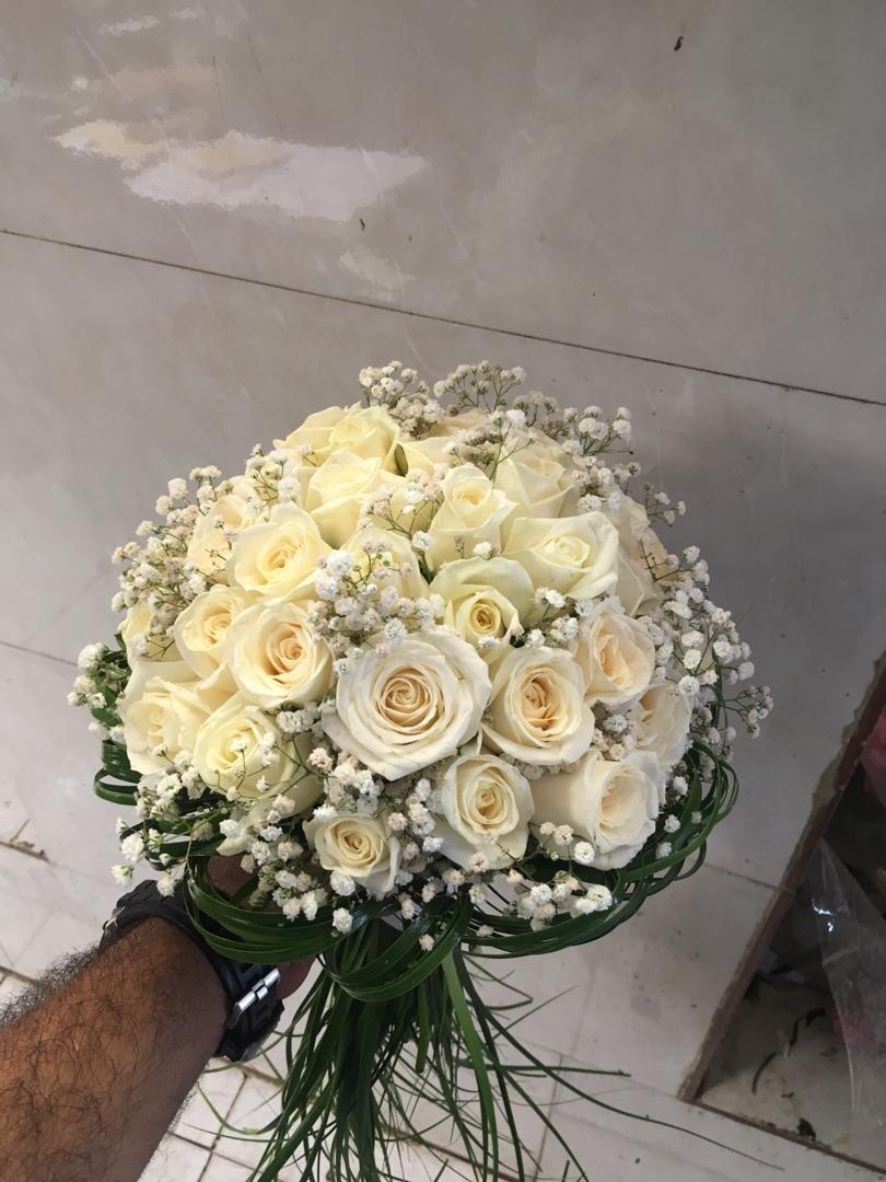 عکس گل سرای میخک