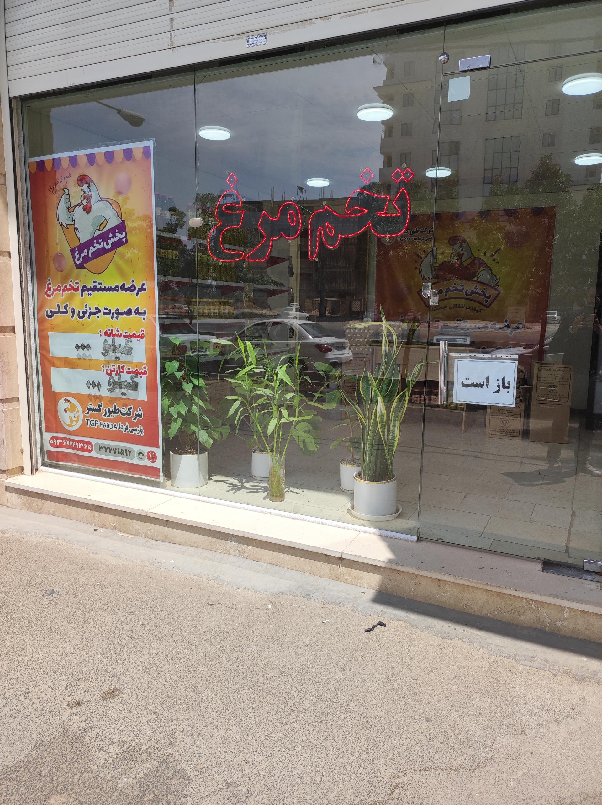 عکس پخش تخم مرغ طیور گستر پارسی فردا