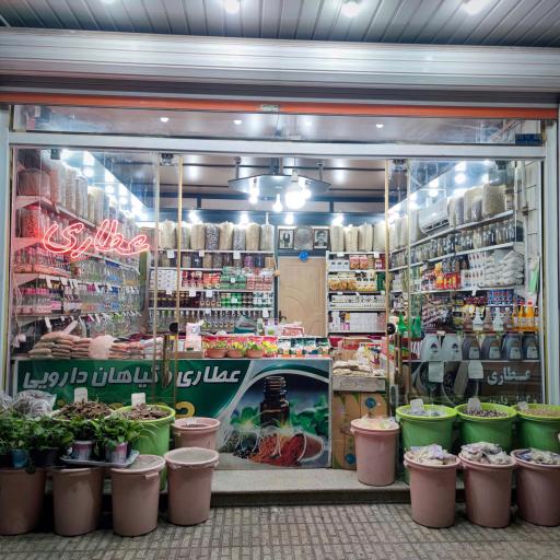 عکس عطاری جدیدیان