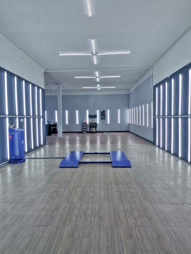 عکس تشخیص رنگ و دیتیلنیگ نقیبی 