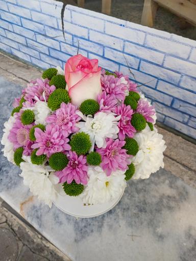 عکس گل سرای میخک