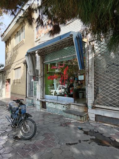 عکس گل سرای میخک
