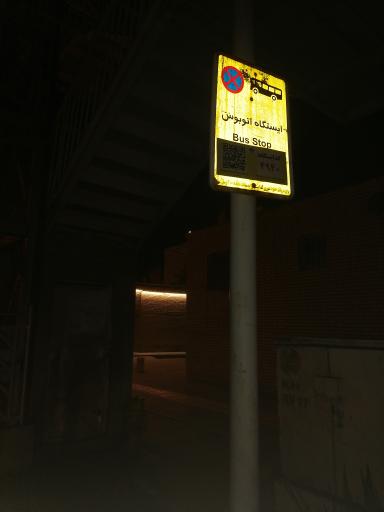 عکس سعادت 14