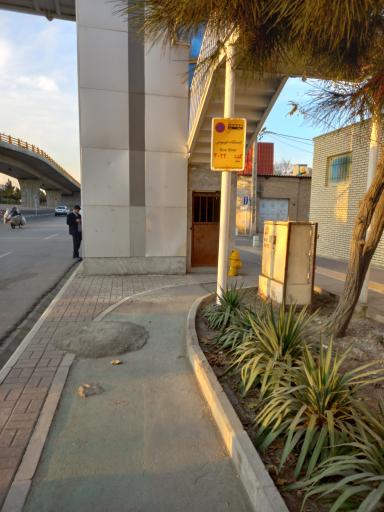 عکس سعادت 14