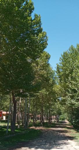 عکس آپارتمان های رفاه گستر تامین اجتماعی