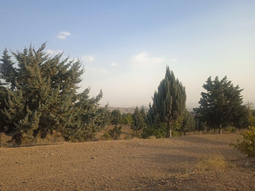 عکس پارک جنگلی هلجرد