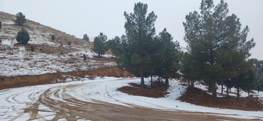 عکس پارک جنگلی هلجرد