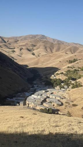 عکس خوشه دره