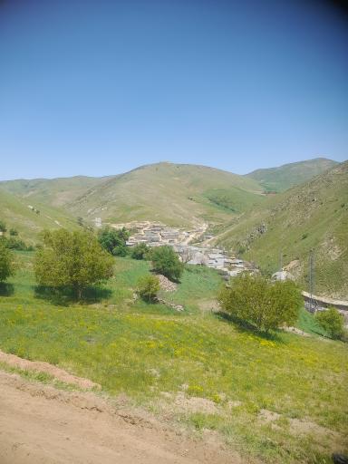 عکس خوشه دره