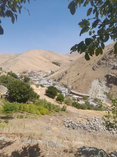 عکس خوشه دره