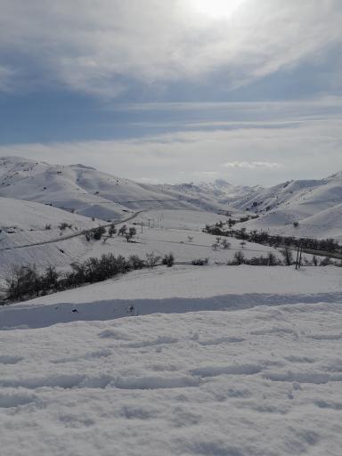 عکس خوشه دره
