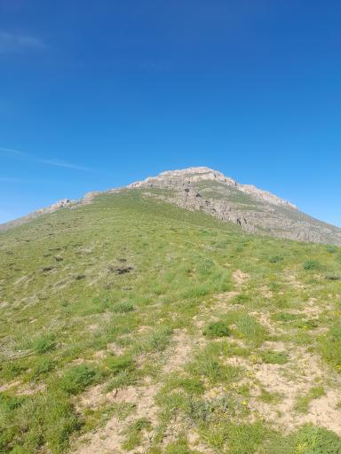 عکس خوشه دره