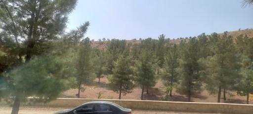 عکس پارک جنگلی هلجرد