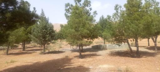 عکس پارک جنگلی هلجرد