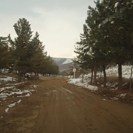 عکس پارک جنگلی هلجرد