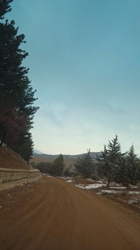 عکس پارک جنگلی هلجرد