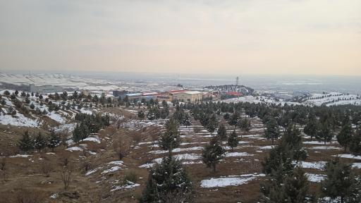 پارک جنگلی هلجرد