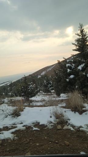 عکس پارک جنگلی هلجرد