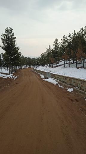 عکس پارک جنگلی هلجرد