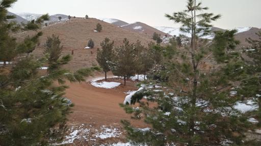 عکس پارک جنگلی هلجرد