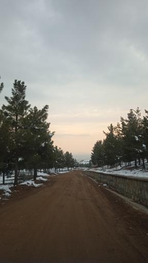 عکس پارک جنگلی هلجرد