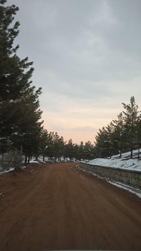 عکس پارک جنگلی هلجرد