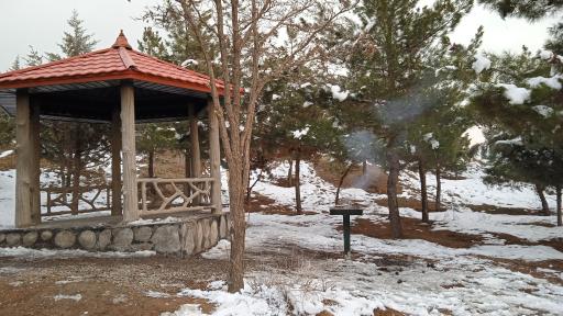 عکس پارک جنگلی هلجرد