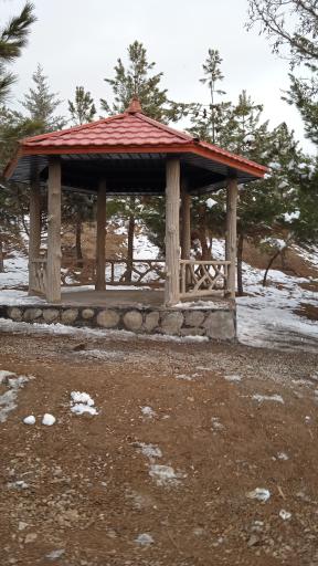 عکس پارک جنگلی هلجرد