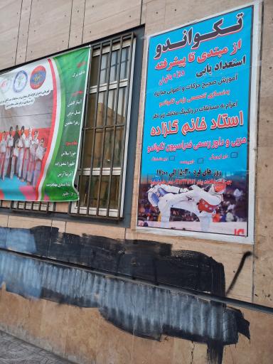 عکس باشگاه معماری ( گل یاس )