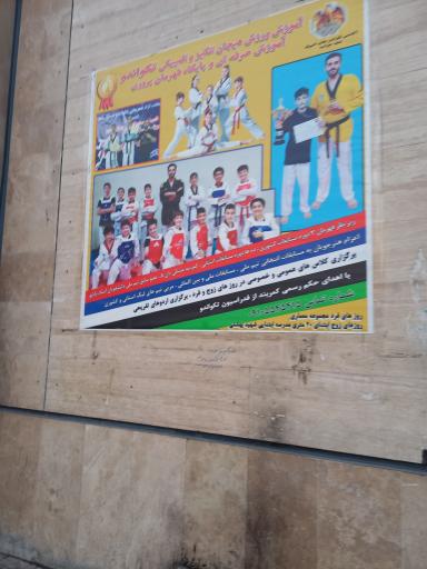 عکس باشگاه معماری ( گل یاس )