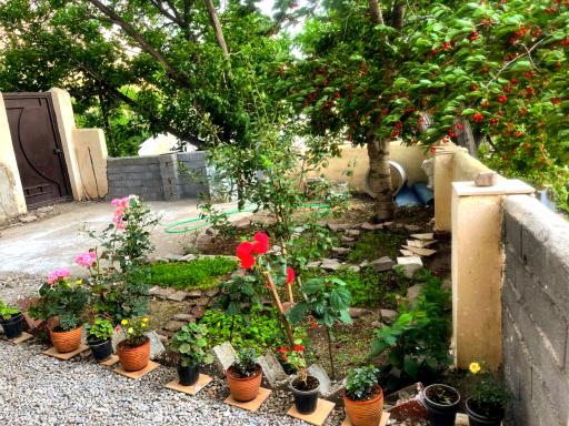 عکس اقامتگاه کوک