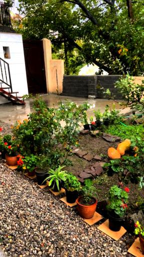 عکس اقامتگاه کوک