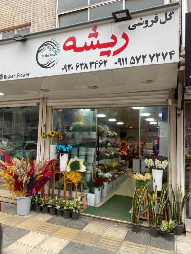 عکس گل فروشی ریشه