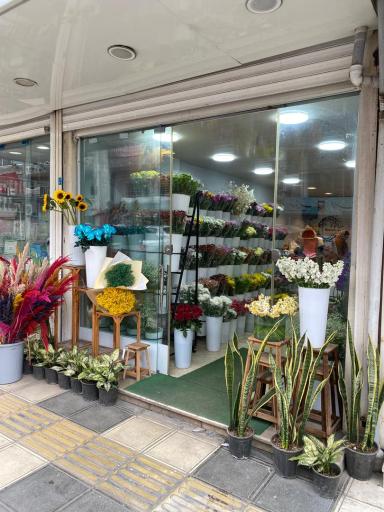 عکس گل فروشی ریشه