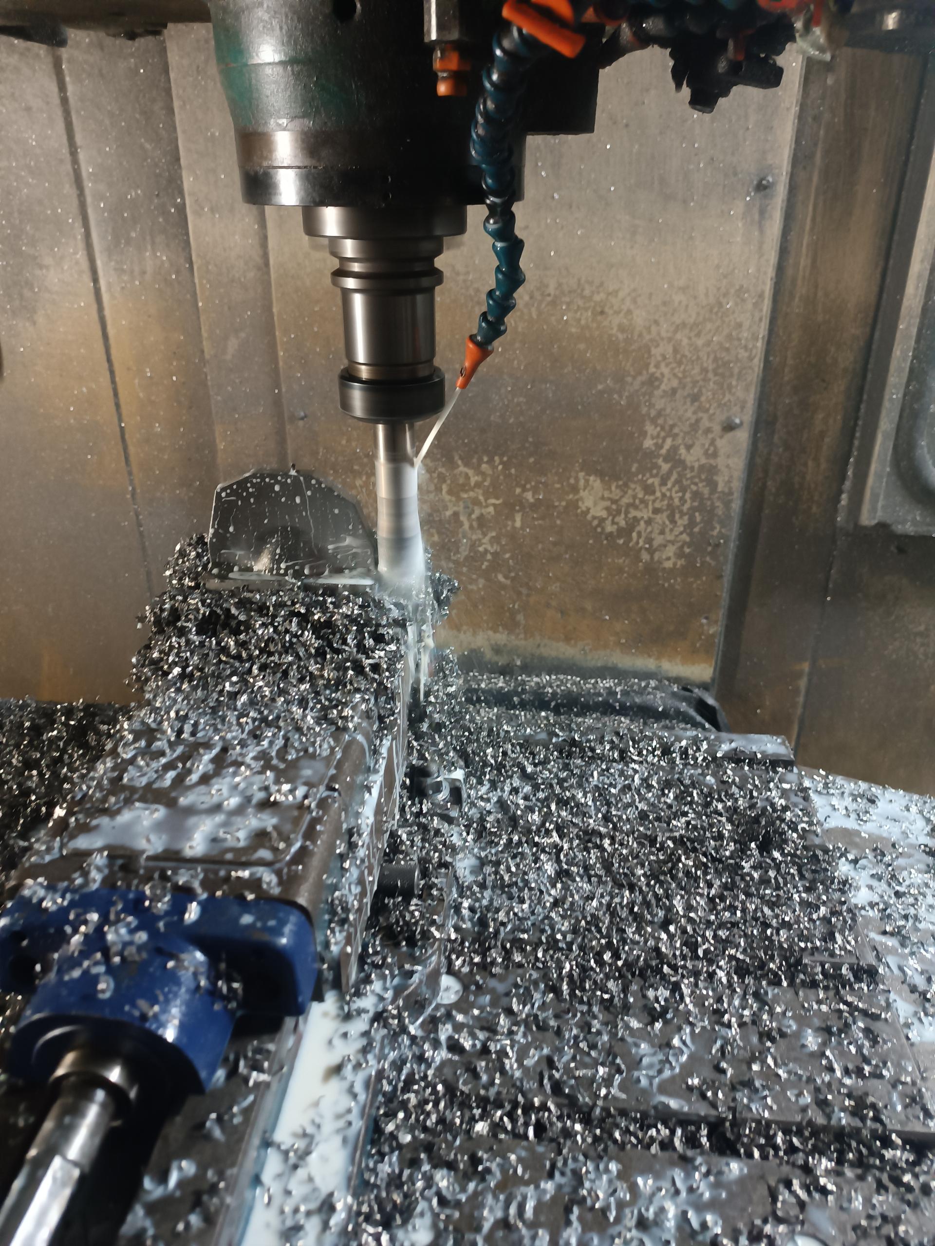 عکس قطعه سازی مرجانی 