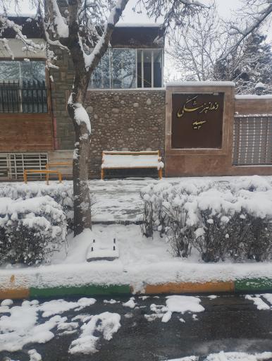 عکس  ابتدای اسدالله زاده