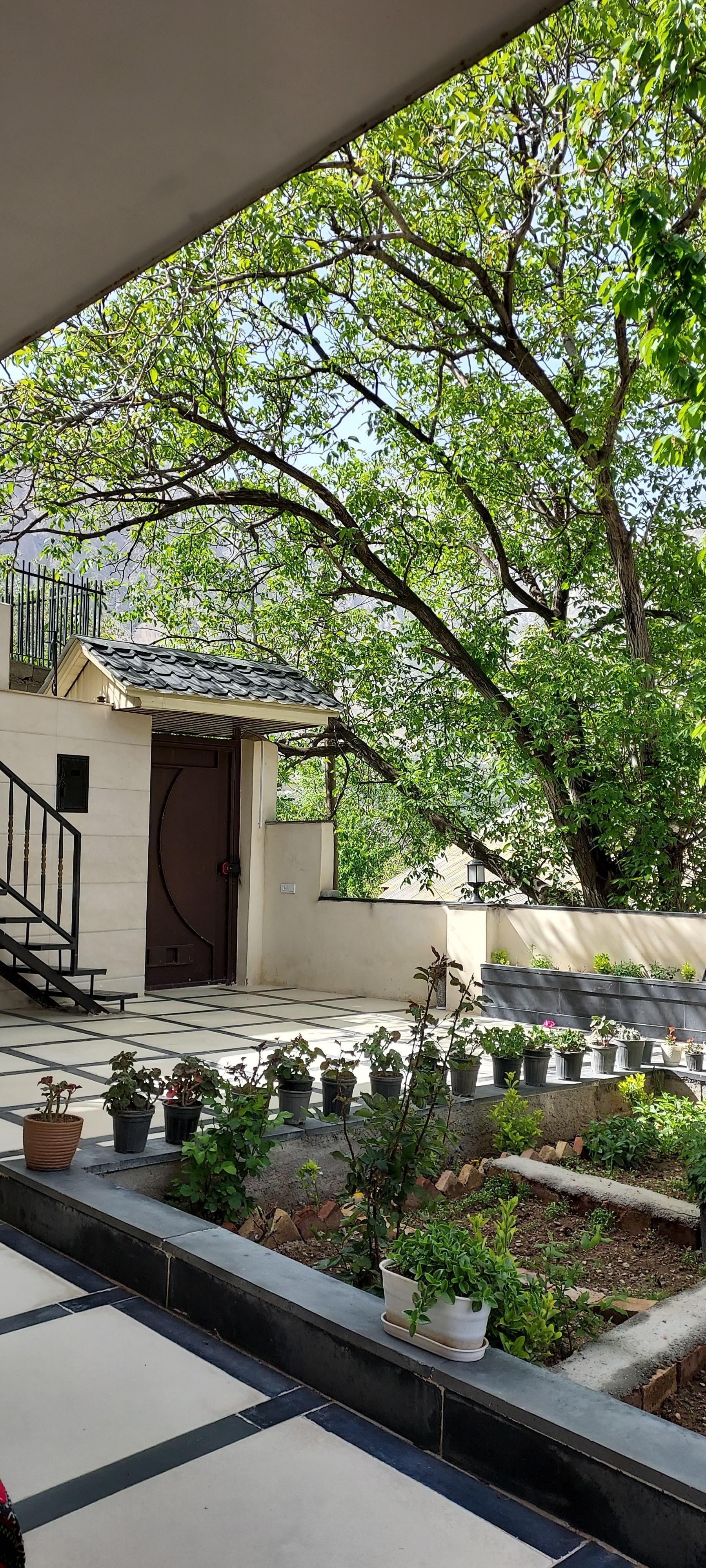 عکس اقامتگاه کوک